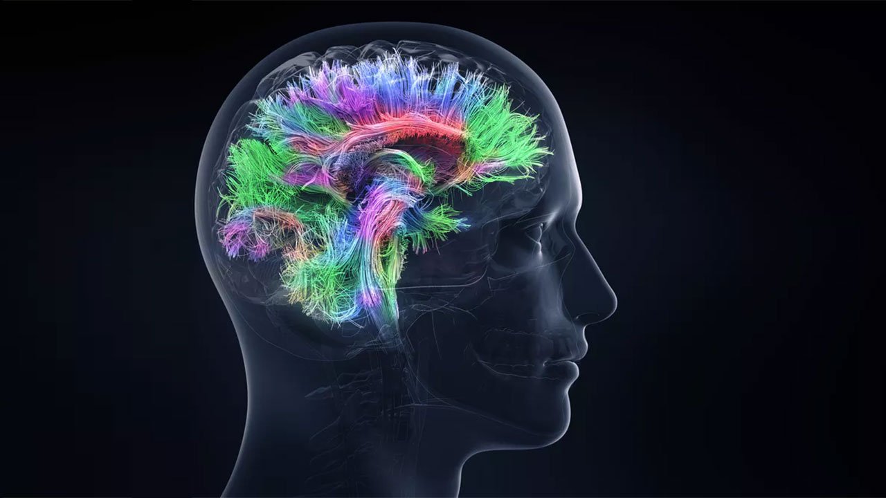 Meningiom Belirtileri